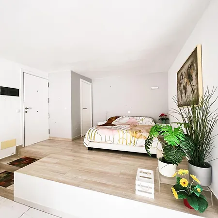 Spacious Studio Next To The Ocean Cs422 * Callao Salvaje