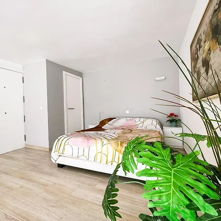 Spacious Studio Next To The Ocean Cs422 Lägenhet *